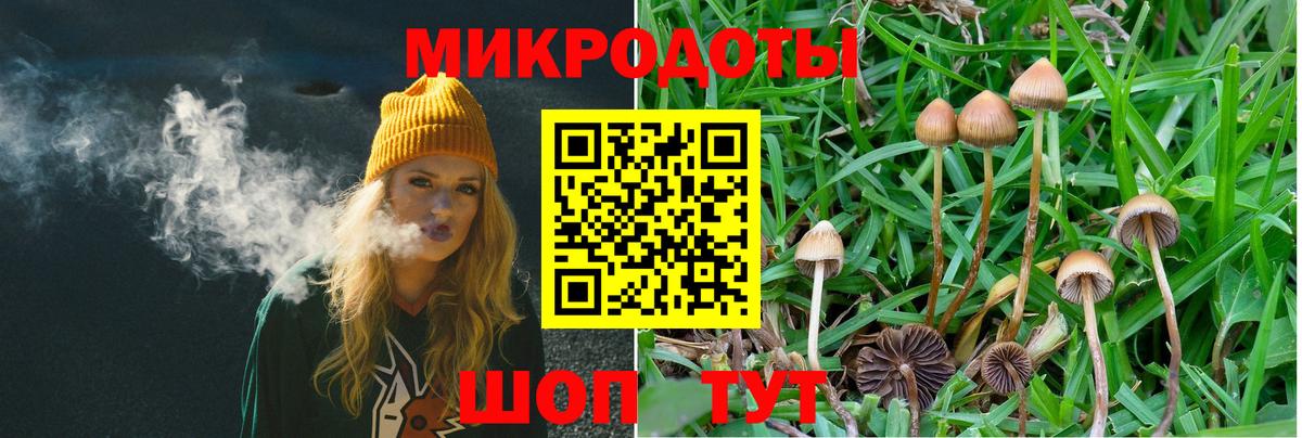Псилоцибиновые грибы GOLDEN TEACHER Архангельск