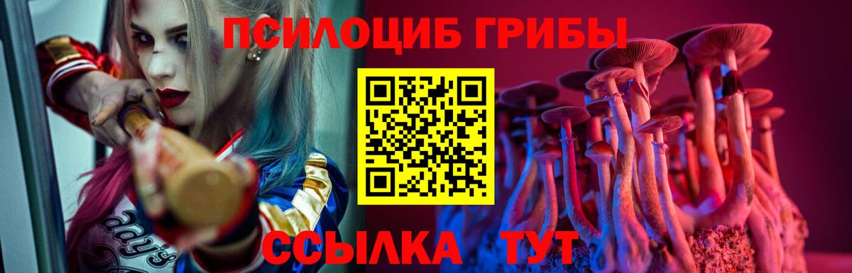 Галлюциногенные грибы мухоморы  Псилоцибиновые грибы мухоморы  Архангельск  Вход с VPN 